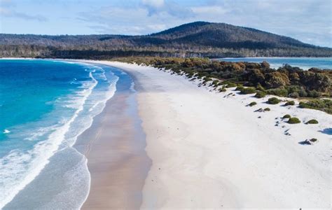 Maria Island Tasmania | Eastcoaster Tasmania - Orford