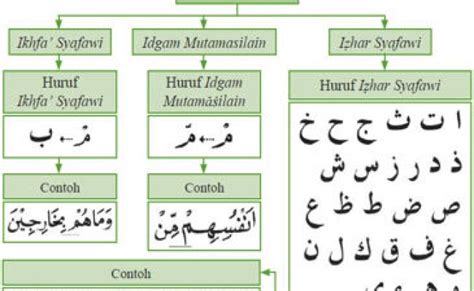 Contoh Bacaan Idgham Mitsli Maal Ghunnah - Idgham Bigunnah Praktek Dan Cara Membaca Hukum Idgham ...