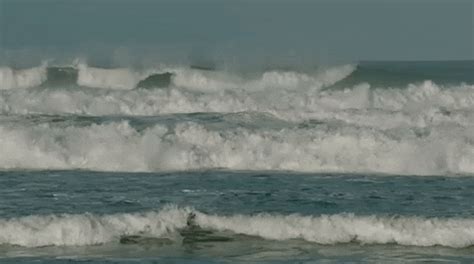 Sea GIFs - Find & Share on GIPHY