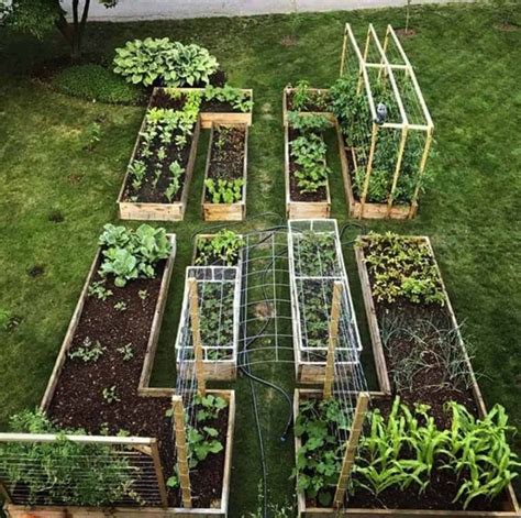 Raised Veggie Garden Ideas: A Journey Towards Bountiful Harvest – Artourney