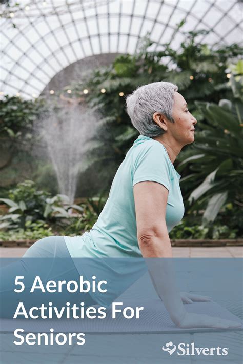 5 Aerobic Activities for Seniors - Silverts.com | Aerobics, Aerobic activity, Full body cardio ...