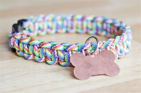 12 Cool DIY Dog Collars - Shelterness