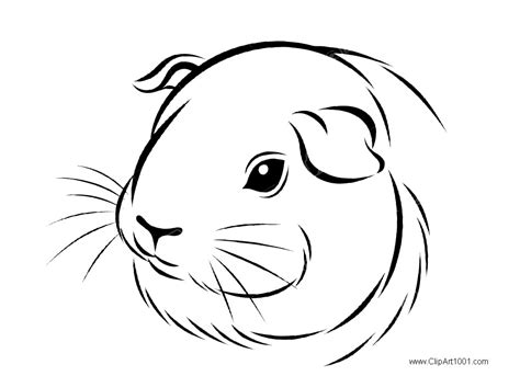 Head of Guinea Pig Coloring Pages - Free Printable Coloring Pages