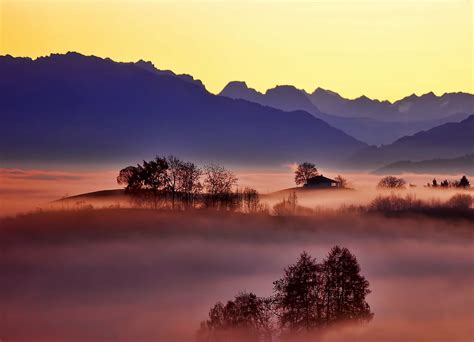 mountains, surrounding, forest, covered, thick, fog, mountain, highland ...