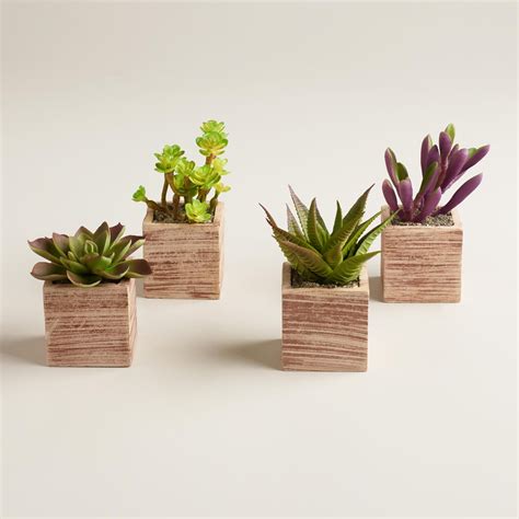 Our Mini Succulent Pots look incredibly realistic - they're just like ...