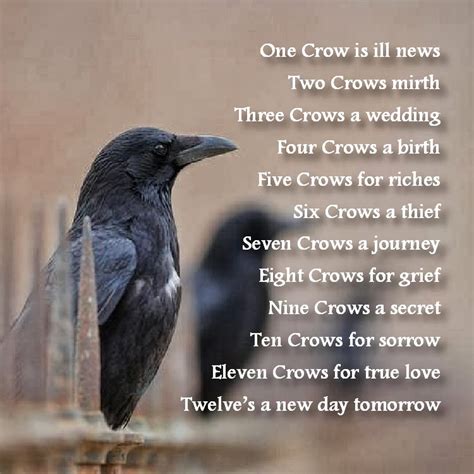 Eating Crow Quotes. QuotesGram