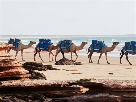 The Best Things to Do in Broome | Travel Insider