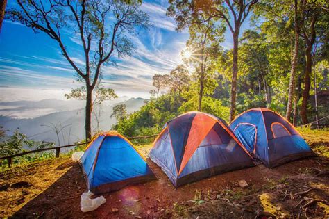 How to Plan an Eco Friendly Camping Trip | Pure Leisure