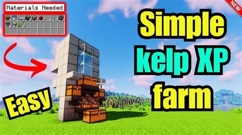 Simple kelp XP farm minecraft tutorial for beginners 1.20+ | Best Kelp X... | Minecraft tutorial ...