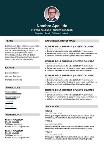 Curriculum Para Ingeniero Civil - Modelos De CV