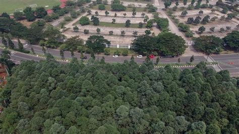 Merasakan Kesejukan Hutan Kota Pakansari Bogor