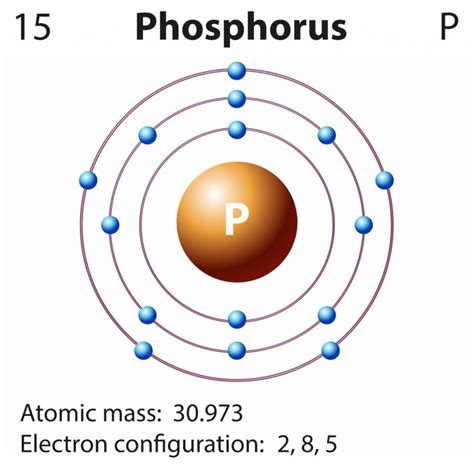 Phosphorus Definition, Facts, Symbol, Discovery, Property, Uses