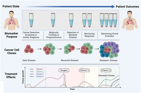 Frontiers | The Role of Circulating Biomarkers in Lung Cancer