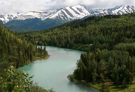 Kenai River Sightseeing Tour - The Last Frontiersman