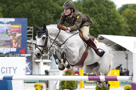 Traditional Irish Horse Category ISH (TIH) - Horse Sport Ireland