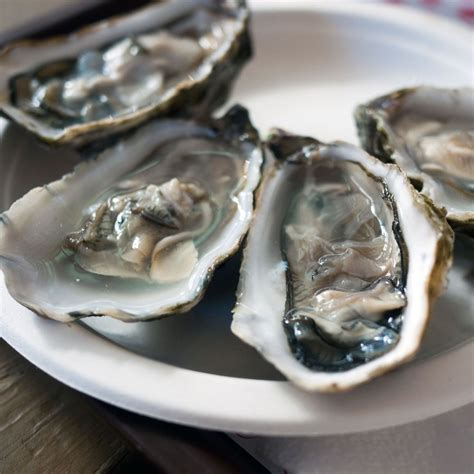 I Just Learned That Raw Oysters Are Still Alive When You Eat Them ...