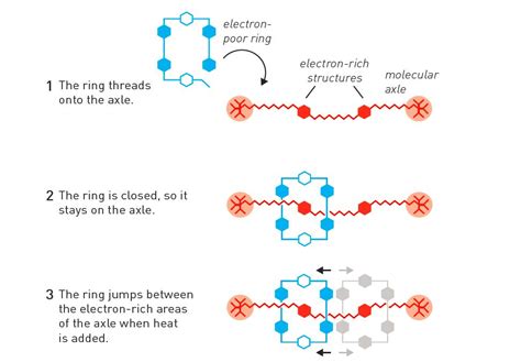 What are Molecular Machines?