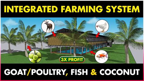 Poultry Farming