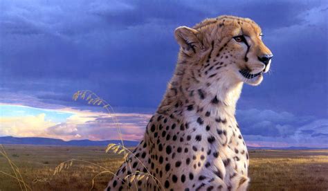Free download Animal Cheetah Wallpaper [2930x1710] for your Desktop, Mobile & Tablet | Explore ...