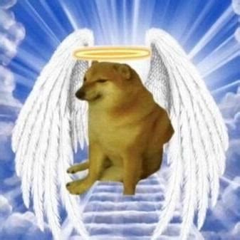 R.I.P meme dog 😭 : r/deMiko