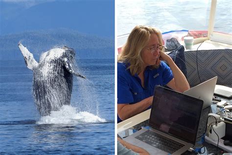 “We’ve Been Heard”: Scientists Communicate With A Whale For 20 Minutes In Her Own Language ...