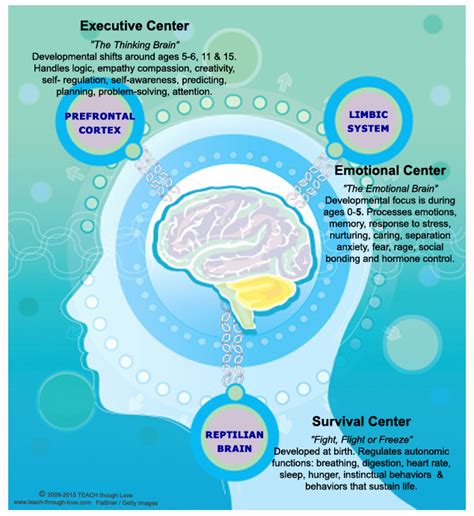 Brain & Resources | direct