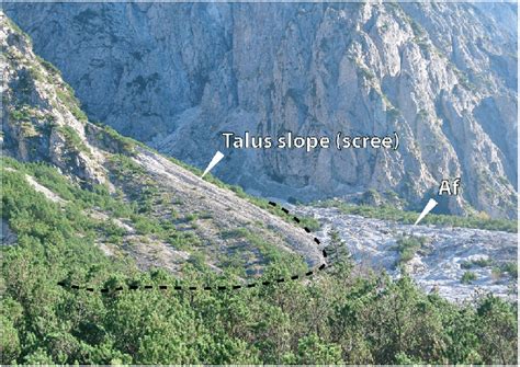 Talus slope (scree) onlapping on an alluvial fan (Af). Distinct ...