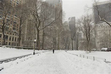 Central park snow Stock Photos, Royalty Free Central park snow Images ...