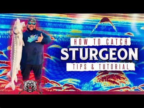 How To Catch Sturgeon - Fishing Tips & Tutorial Part 1 - YouTube