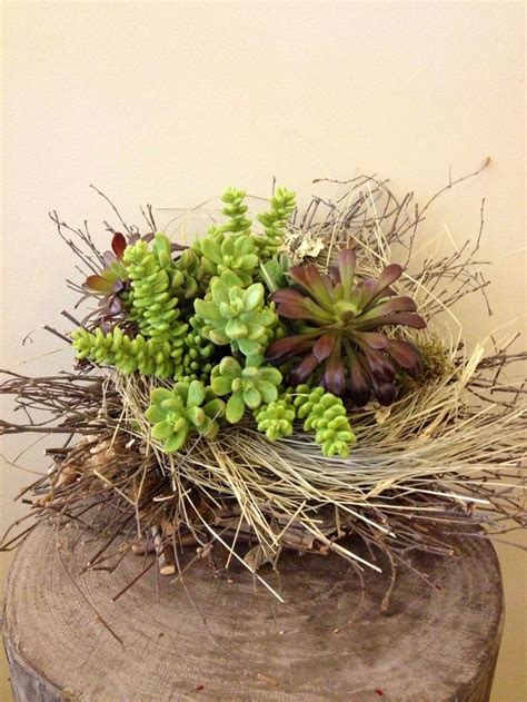 31 best Garden - Hanging succulents images on Pinterest | Succulents ...