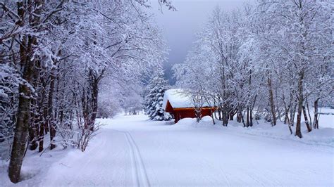 Winter Road House Snow 2020 Nature Scenery Photo Preview | 10wallpaper.com