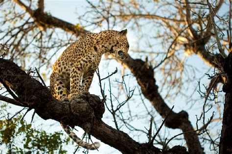 Pilanesberg National Park