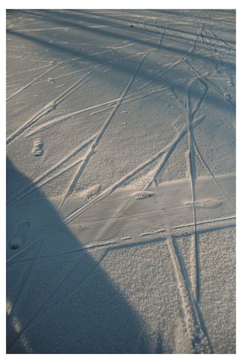 Trails in the Snow · Free Stock Photo