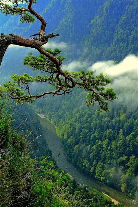 Poland, Pieniny Mountains / Polska, Pieniny Amazing Nature, Beautiful Places, Beautiful Scenery ...