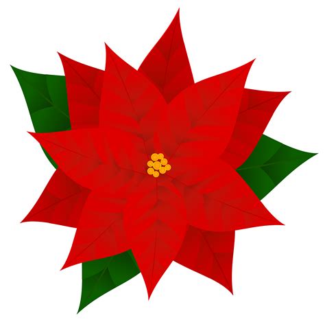 Free Poinsettia Black And White, Download Free Poinsettia Black And White png images, Free ...