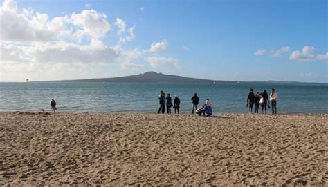 Top 10 Auckland Beaches