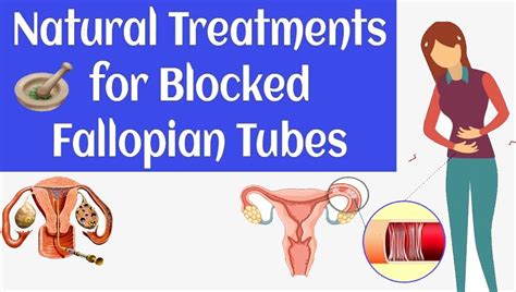 Natural Treatment For Blocked Fallopian Tubes