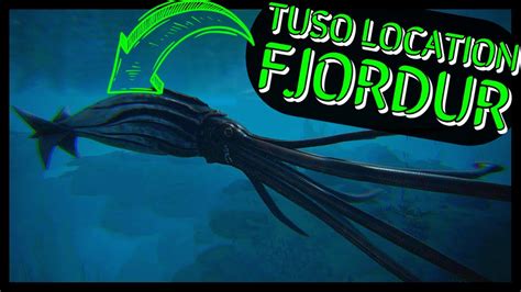 FJORDUR TUSOTEUTHIS LOCATION - YouTube