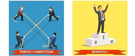 Difference Between Monopoly and Perfect Competition - Key Differences