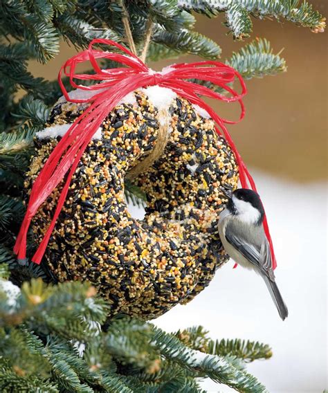 Making a Bird Seed Wreath