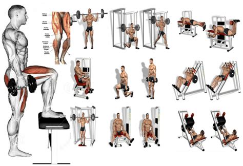 5 Leg Workouts - A Beginner's Guide! - HEALTH & GYM GUIDE