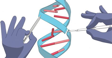 Cystic Fibrosis Gene Editing May Be Watched in Real Time Using New ...