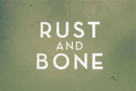 ‘Rust and Bone’ Trailer – What’s the Song?