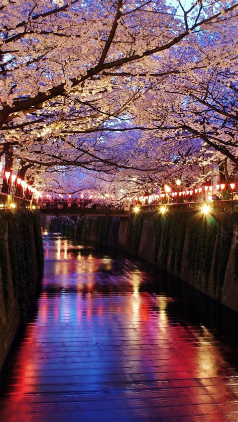 10 Cherry Blossom wallpapers for your iPhone/Android smartphones (Sakura) – Experience Tokyo ...