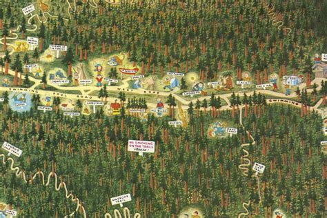 A map of Bohemian Grove, the place where masters of the universe play summer camp - Vox