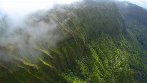 Three cloud forests to visit – Pure Source