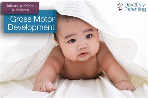 Gross Motor Development & Skills for Infants, Toddlers, and Children ...