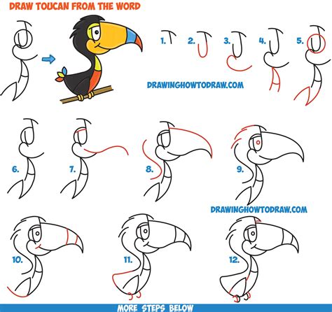 How to Draw Cartoon Toucans from the Word – Easy Step by Step Drawing ...