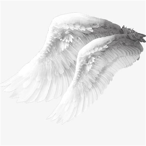 Angels Wing PNG Transparent, Angel Wings Material, Angel Clipart, Wings Clipart, White Wings PNG ...