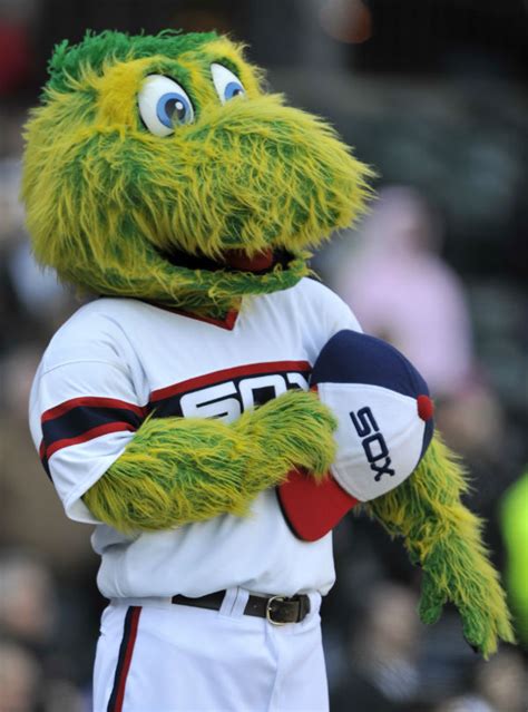 The origins of Chicago’s sports mascots | WBEZ